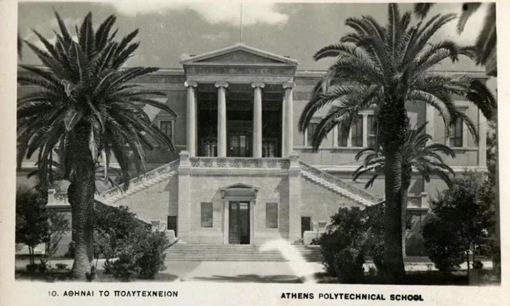 "Μεγάλος Περίπατος": Μπήκαν οι "ιστορικοί" φοίνικες στην Πανεπιστημίου - Πόσο κοστίζουν